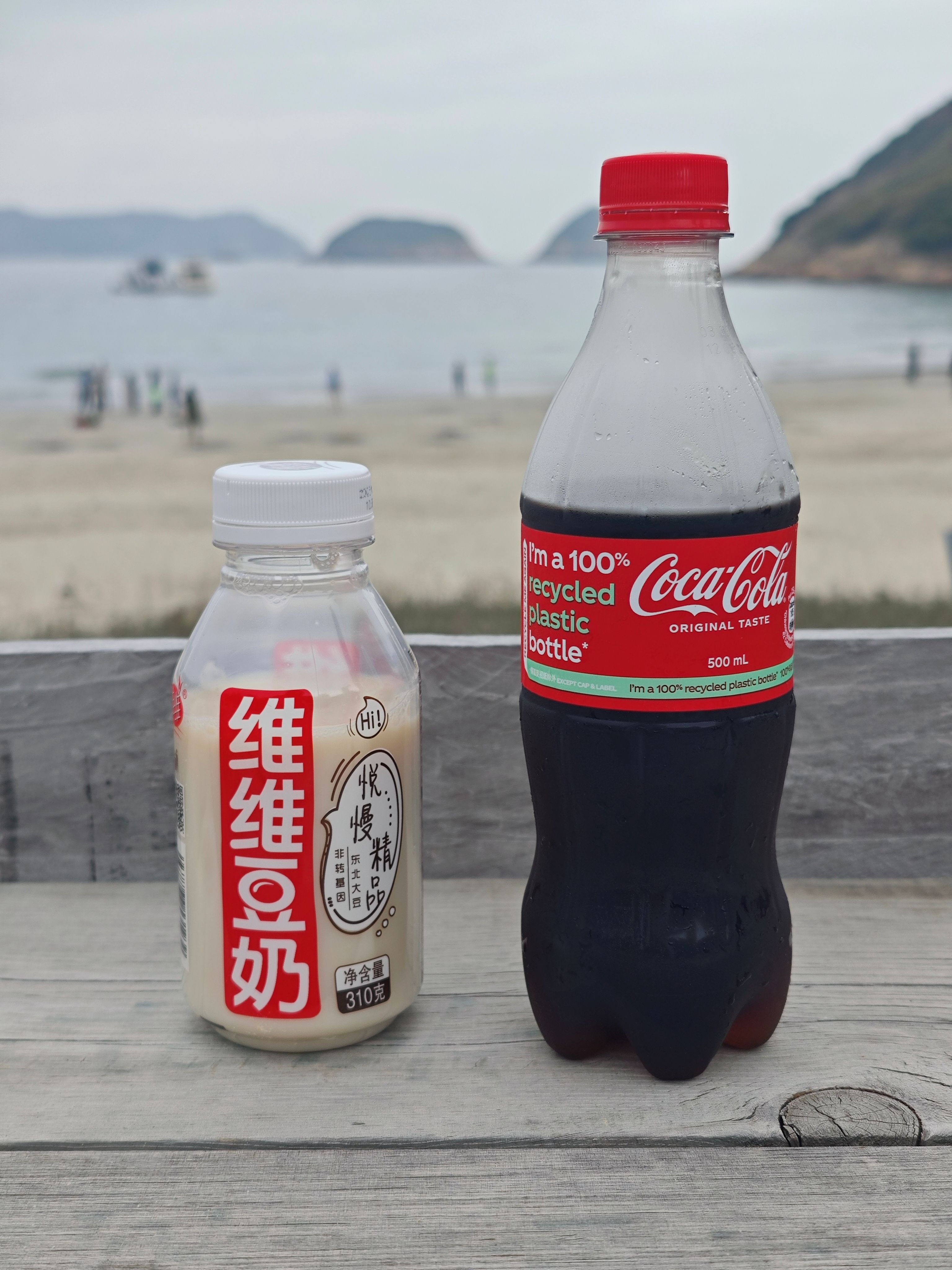 看海的可乐和豆奶